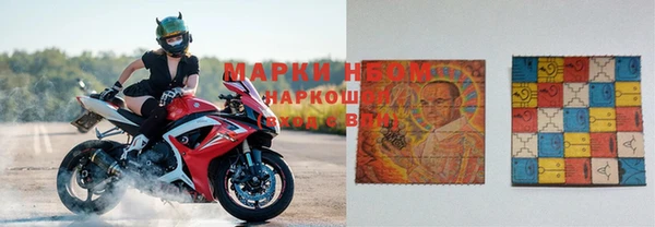 бошки Белокуриха