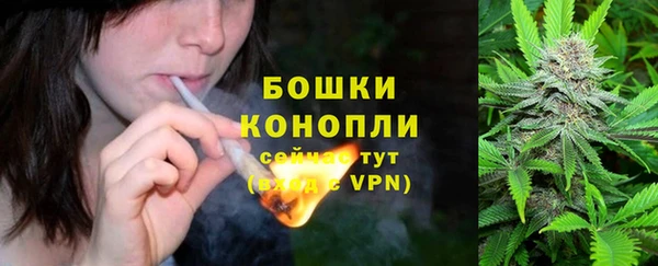 бошки Белокуриха