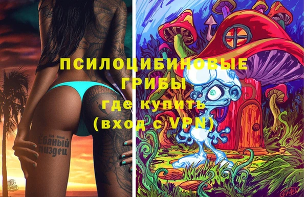 Альфа ПВП Беломорск