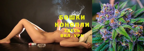 бошки Белокуриха