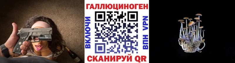 наркошоп  Маркс  Псилоцибиновые грибы Psilocybe 